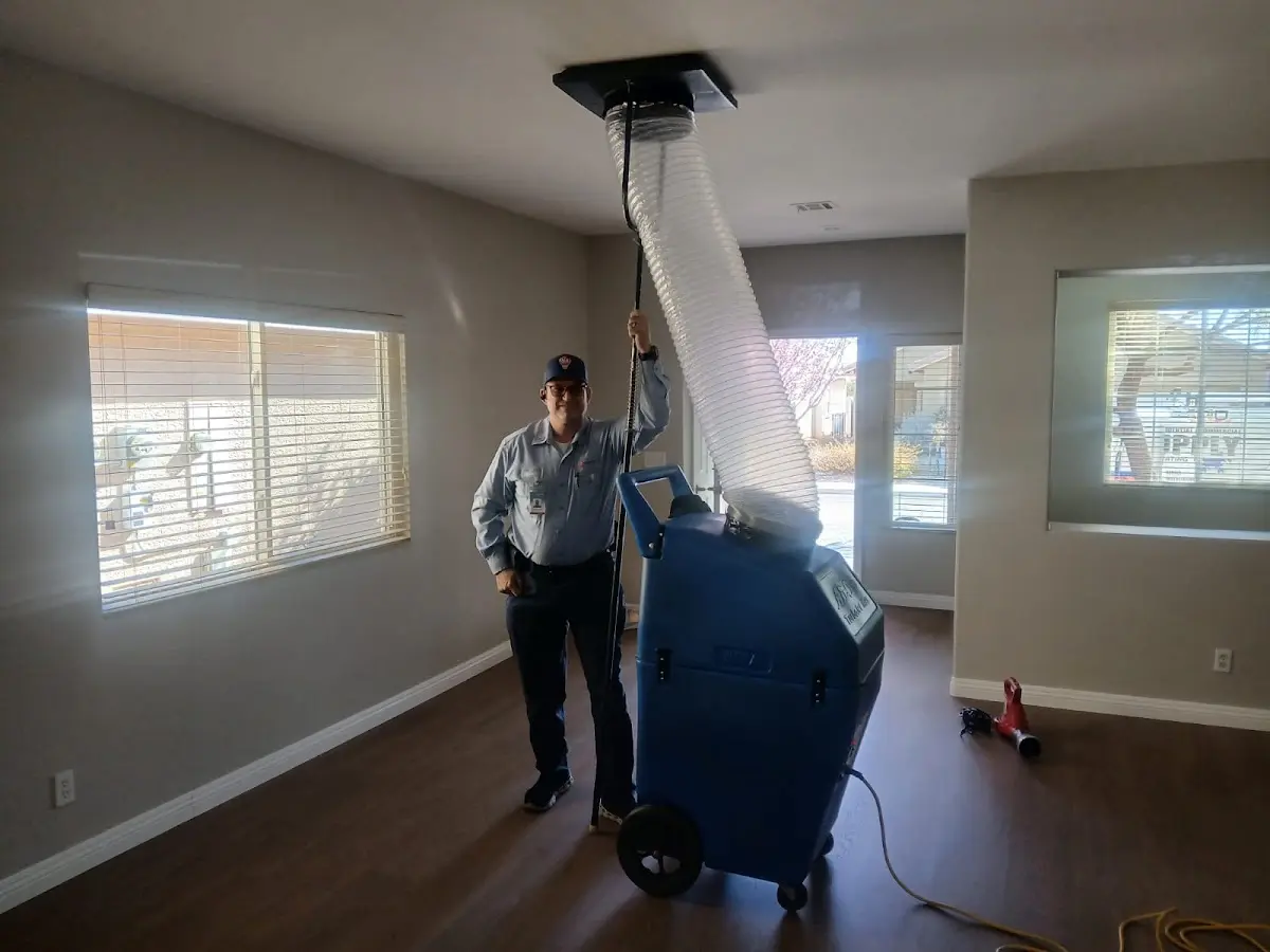 Professional Dryer Vent Cleaning work inside a Davison home